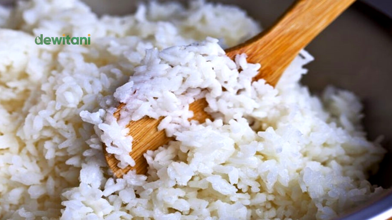 pupuk organik cair dari nasi basi